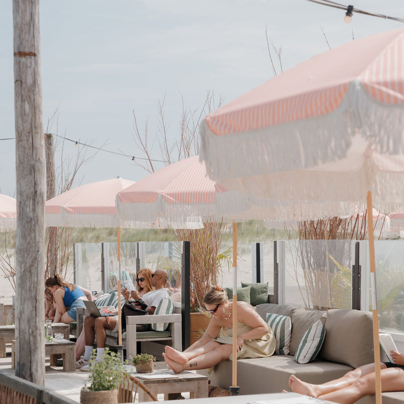 Beachclub Birds